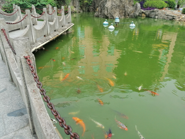 顏值與性能并存，還有AI四攝，華為麥芒7來了