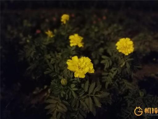 AI加持到底能帶來什么？ 華為麥芒7評測