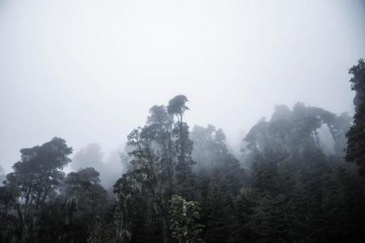 波濤？山路？風雨兼程，麥芒無懼挑戰(zhàn)