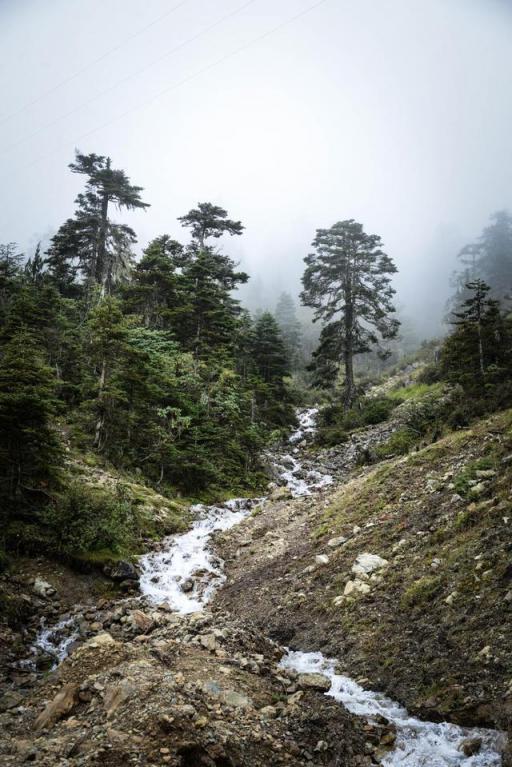 波濤？山路？風雨兼程，麥芒無懼挑戰(zhàn)