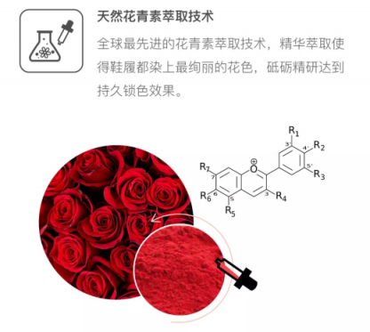 Everugg集香氣與帥氣于一身的鞋子 還有什么理由拒絕？