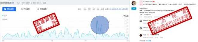 雙十一營銷的幾點訣竅 微播易起底兩大經(jīng)典電商案例