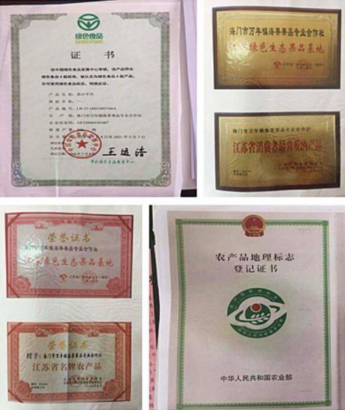 宗客網(wǎng)選品團隊前往海門、安吉考察選品