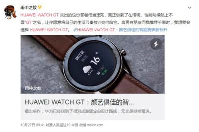 兩周續(xù)航有口皆碑 華為WATCH GT預(yù)售火爆搶眼雙11