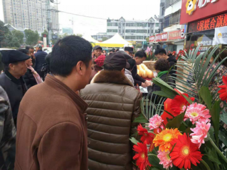 蘇寧聯手顧家，首家“全屋定制”智慧門店落地徐州大廟鎮(zhèn)