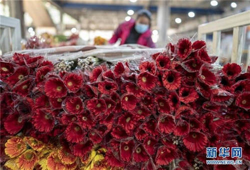 愛(ài)心助農(nóng)，花加FLOWERPLUS的暖心之策