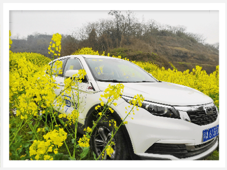 用“花語”描述西安的“絲路”美景 聯(lián)動云共享汽車送你“隨手拍中大獎”