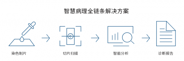 視見科技完成新一輪數(shù)千萬融資，產(chǎn)業(yè)資本助力AI病理加速落地