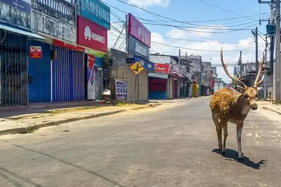 封國后的印度街道