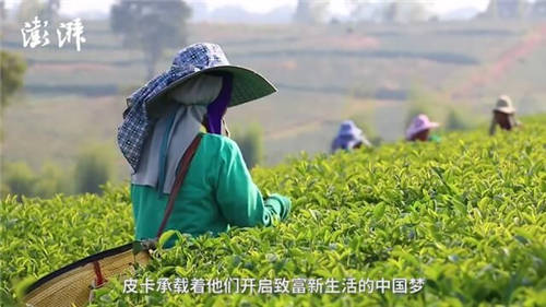 致力打贏脫貧攻堅戰(zhàn)，長城皮卡攜手澎湃新聞啟動“物產(chǎn)中國”