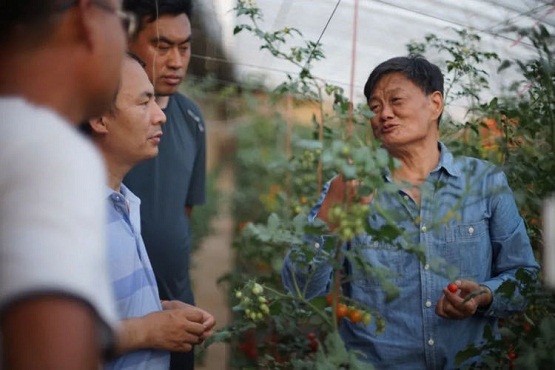 中和農(nóng)信：管種管收管賣，讓種植戶“省點心”