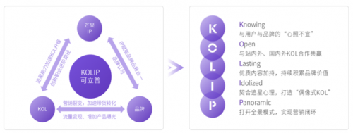 2020 KOL營銷洞察報(bào)告：可立普模式能否成為KOL營銷神器？