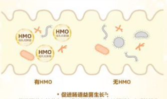 合生元HMO配方奶粉三大強(qiáng)化配方組合，建造更穩(wěn)定的成長(zhǎng)壁壘