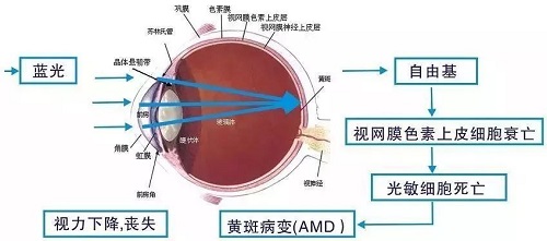 用海信閱讀手機(jī)A5Pro 避免藍(lán)光傷害健康護(hù)眼好讀書