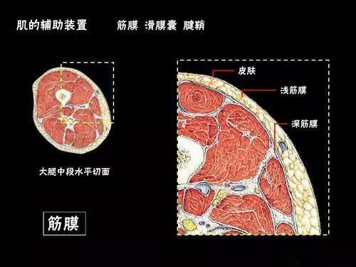 云麥筋膜槍 VS HYPERVOLT筋膜槍一哥的使用評(píng)測(cè)及感受