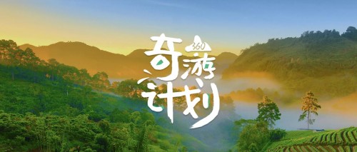 【旅游企業(yè)必看】360旅游行業(yè)助力計劃來了!