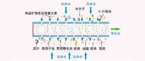 專業(yè)揭秘凈水器哪個好？品牌＆濾芯才是關(guān)鍵