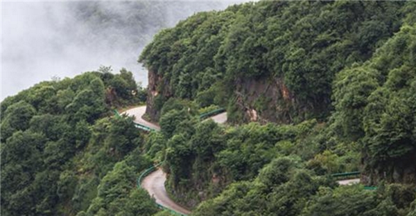 月入1萬，年底分紅10萬，乘龍燃氣車幫助金佑君走上致富路