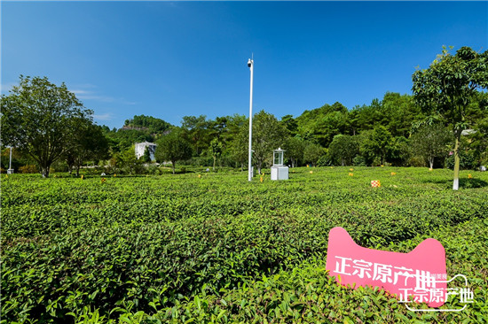 打響“武夷山水”超級(jí)產(chǎn)地名片，天貓正宗原產(chǎn)地全面帶貨南平農(nóng)副產(chǎn)品