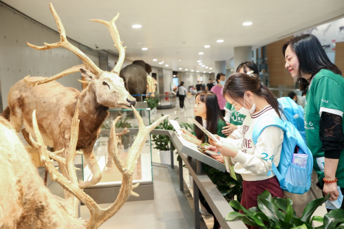 恒隆集團(tuán)慶祝成立60周年，內(nèi)地九城及香港義工活動(dòng)惠及4500人