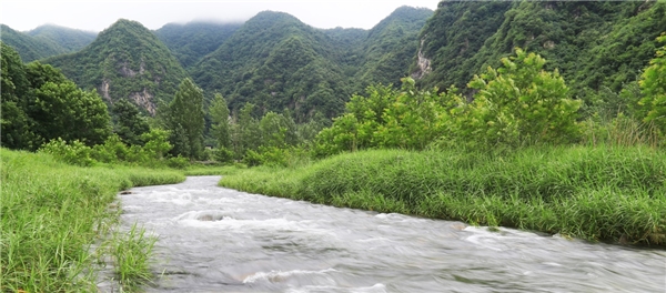 走進(jìn)仲景宛西制藥藥材基地 探索“藥材好，藥才好”的秘密