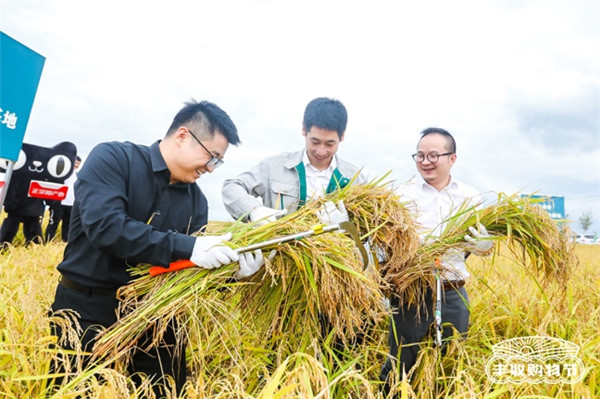 聚焦原產地，天貓將今年第一份“最好的大米”直達餐桌