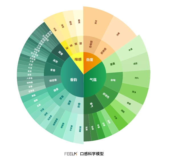 穿越口感秘境，F(xiàn)EELM打造口感科學體系