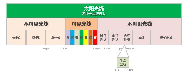 遠(yuǎn)紅外電飯煲成為新趨勢(shì)，蘇泊爾推動(dòng)行業(yè)升級(jí)