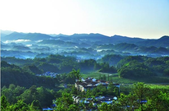 就地過年：這樣過出新鮮感！