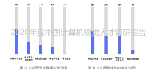 2020年度中國計算機視覺人才調(diào)研報告重磅出爐