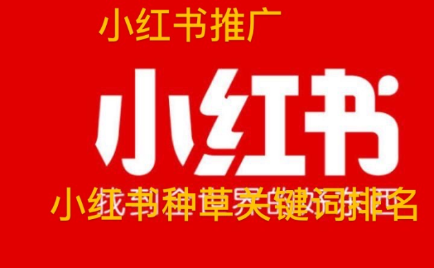 詳解小紅書推廣方式如何引流，小紅書推廣費(fèi)用一般多少