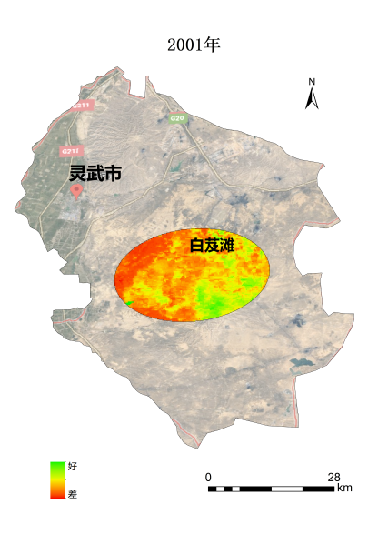 植樹節(jié)添新綠，平安科技展示“百萬植樹計(jì)劃”階段性成果