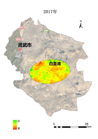 植樹節(jié)添新綠，平安科技展示“百萬植樹計(jì)劃”階段性成果