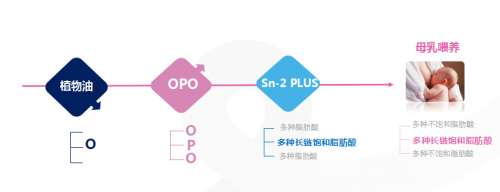 合生元派星雙重保護力呵護寶寶成長，用實力彌補喂養(yǎng)不足