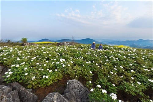 仲景之光普照醫(yī)圣故里——仲景宛西制藥守正創(chuàng)新高質(zhì)量發(fā)展紀(jì)實