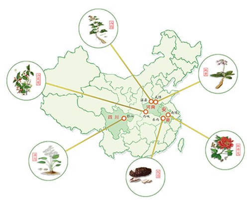 仲景之光普照醫(yī)圣故里——仲景宛西制藥守正創(chuàng)新高質(zhì)量發(fā)展紀(jì)實