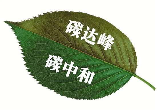 發(fā)揮數(shù)據(jù)最大價值，打造最強云底座 華為云助力“碳中和”賦能生態(tài)文明