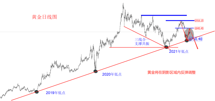 金十訪談間：7月22日領(lǐng)峰里昂老師，聚焦歐美縮表！