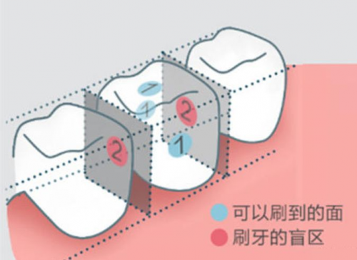 8月5日小米有品眾籌！素諾智能可視沖牙器C3 pro倒計時海報曝光