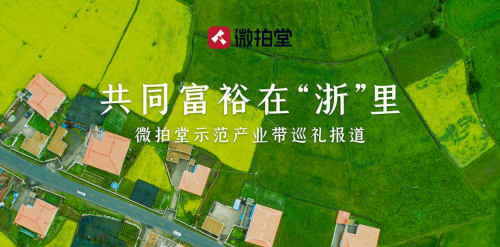 微拍堂攜手東陽竹雕商家 走出一條特色文化共同富裕路