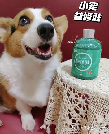 怕狗狗脫毛啦！我的小寵益修膚使用心得