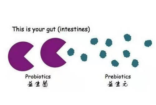 這么多益生菌品牌，選哪個(gè)牌子好