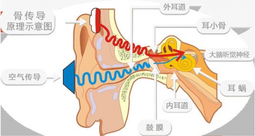 骨傳導(dǎo)耳機(jī)怎么選？多款骨傳導(dǎo)耳機(jī)橫向評(píng)測！解決你的選擇困難癥