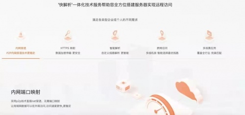 1v1技術支持，快解析幫助企業(yè)解決遠程訪問難題