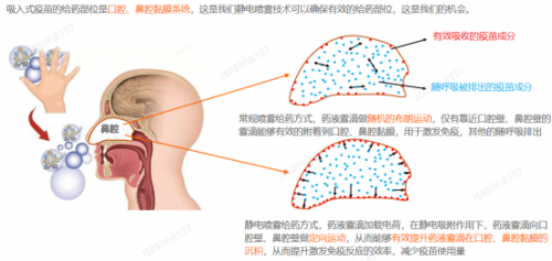 2021年度十大流行語發(fā)布！橙色云參與了這些跨界項(xiàng)目