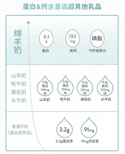 Spring Sheep?春綿?榮獲農(nóng)牧企業(yè)最快增長(zhǎng)Top1，高端綿羊奶引領(lǐng)世界乳品新未來(lái)！