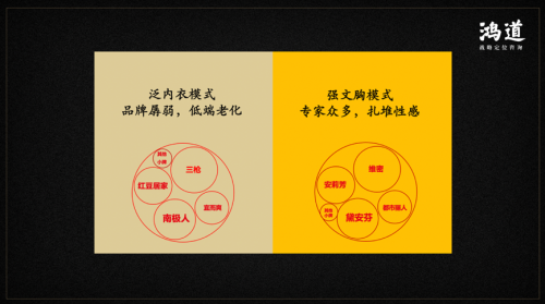 從老牌國貨到新生國潮 鴻道戰(zhàn)略定位助力紅豆集團青春歸來