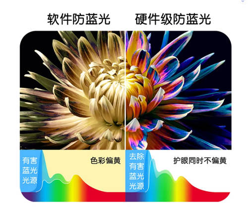 評測：戴爾靈越16 Plus，11代i7處理器如何駕馭無限生產(chǎn)力