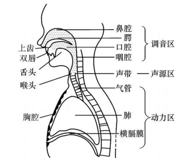 百分點(diǎn)科技：聲紋識別技術(shù)發(fā)展及未來趨勢研究