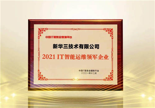 引領(lǐng)運(yùn)維高效革新之路，新華三榮獲ITS 2021年度IT智能運(yùn)維領(lǐng)軍企業(yè)獎(jiǎng)